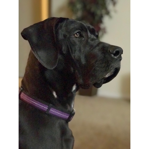 hi! ☼ {meet your posher} - Picture 4 of 4